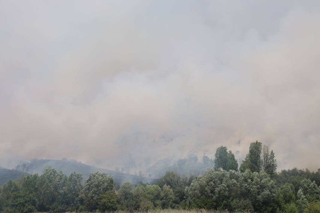 Elazığ'da orman yangını 47